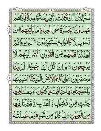 Print Surah Yaseen with the names of your loved ones