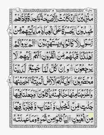 Print Surah Yaseen with the names of your loved ones