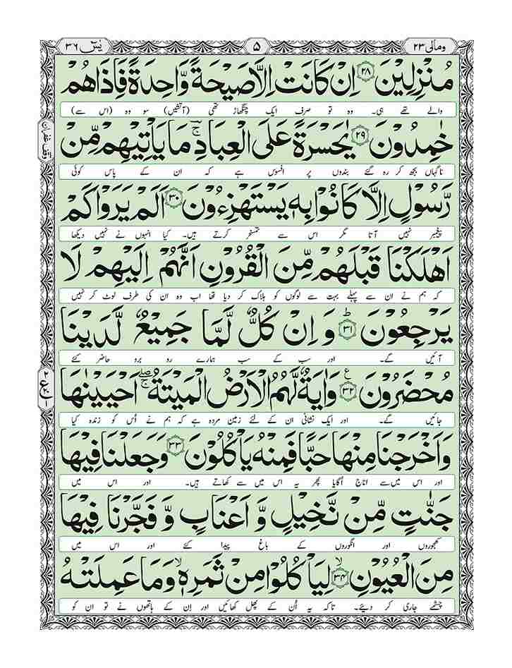 Print Surah Yaseen (Translation) with the names of your loved ones