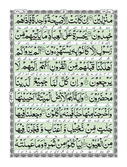 Print Surah Yaseen (Translation) with the names of your loved ones