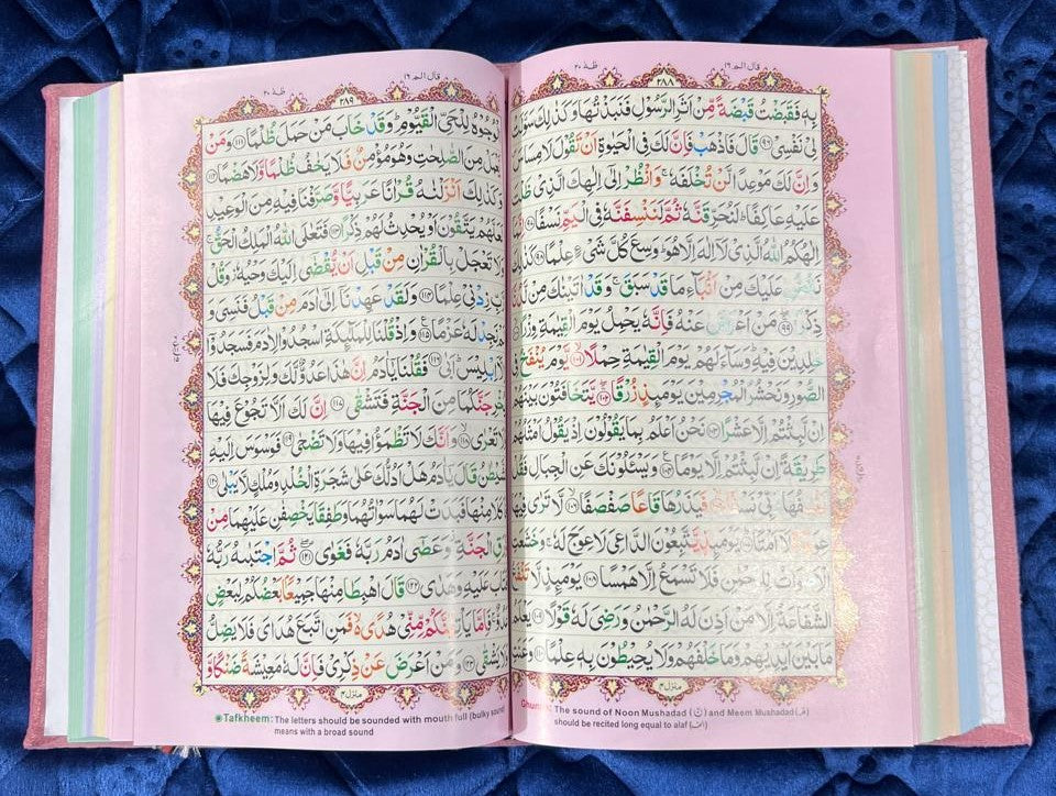 Holy Quran Tajveedi 16 Line Velvet Pink color